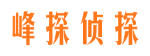 平顶山市私家侦探公司